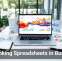 Rethinking Spreadsheets in Business