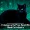 U.S. Cybersecurity Pros Admit Role in BlackCat Attacks